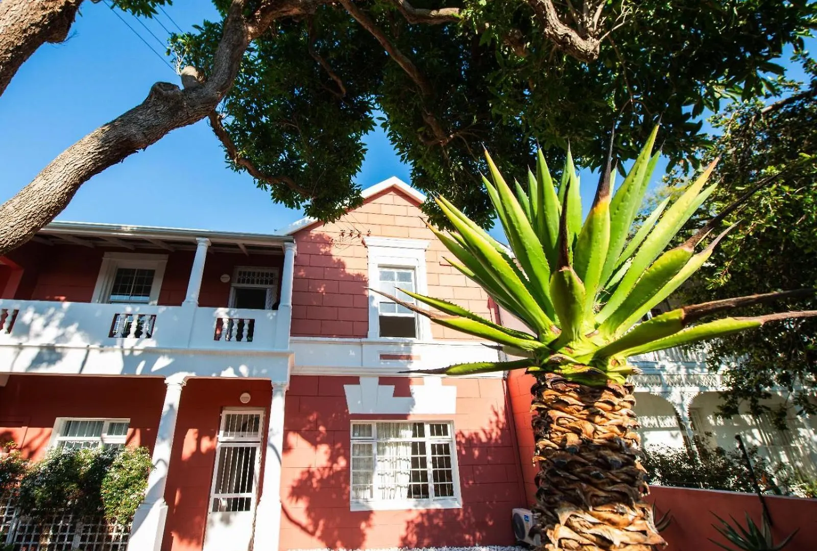 Cactusberry Lodge Κέιπ Τάουν Νότια Αφρική