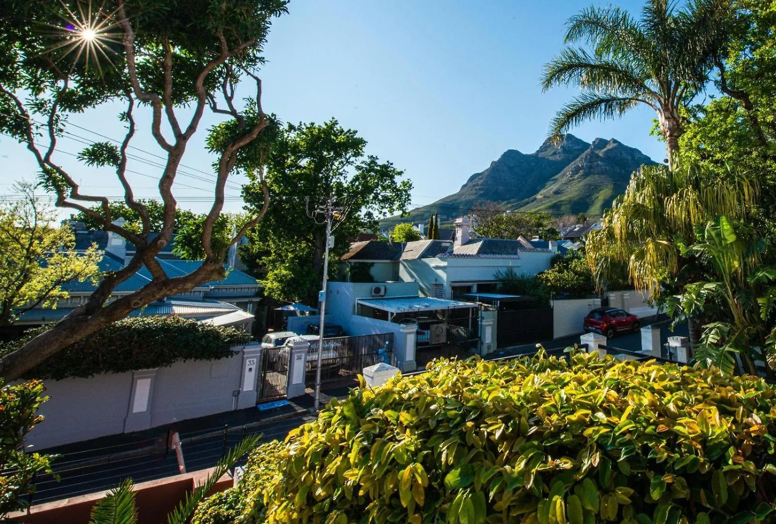 Cactusberry Lodge Cape Town