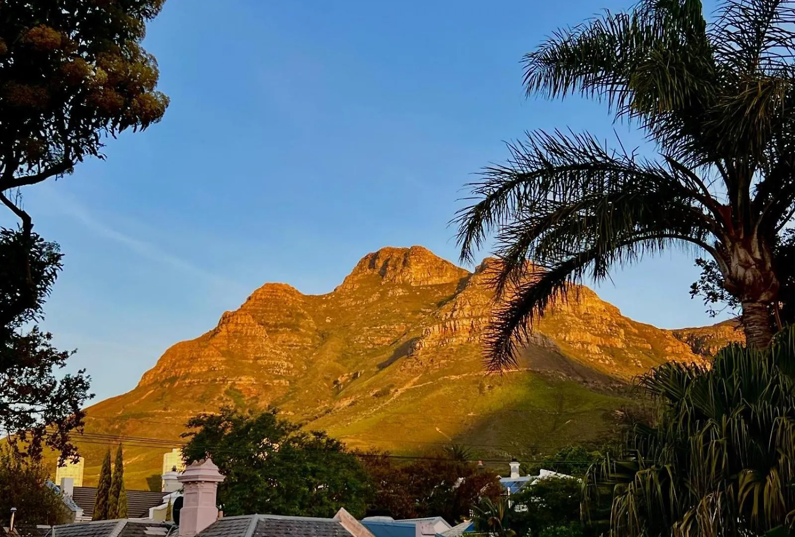 Cactusberry Lodge Cape Town